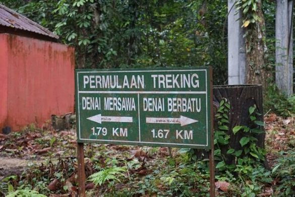 Aktiviti Dan Tempat Menarik Di Segamat Tawar Pakej Lengkap