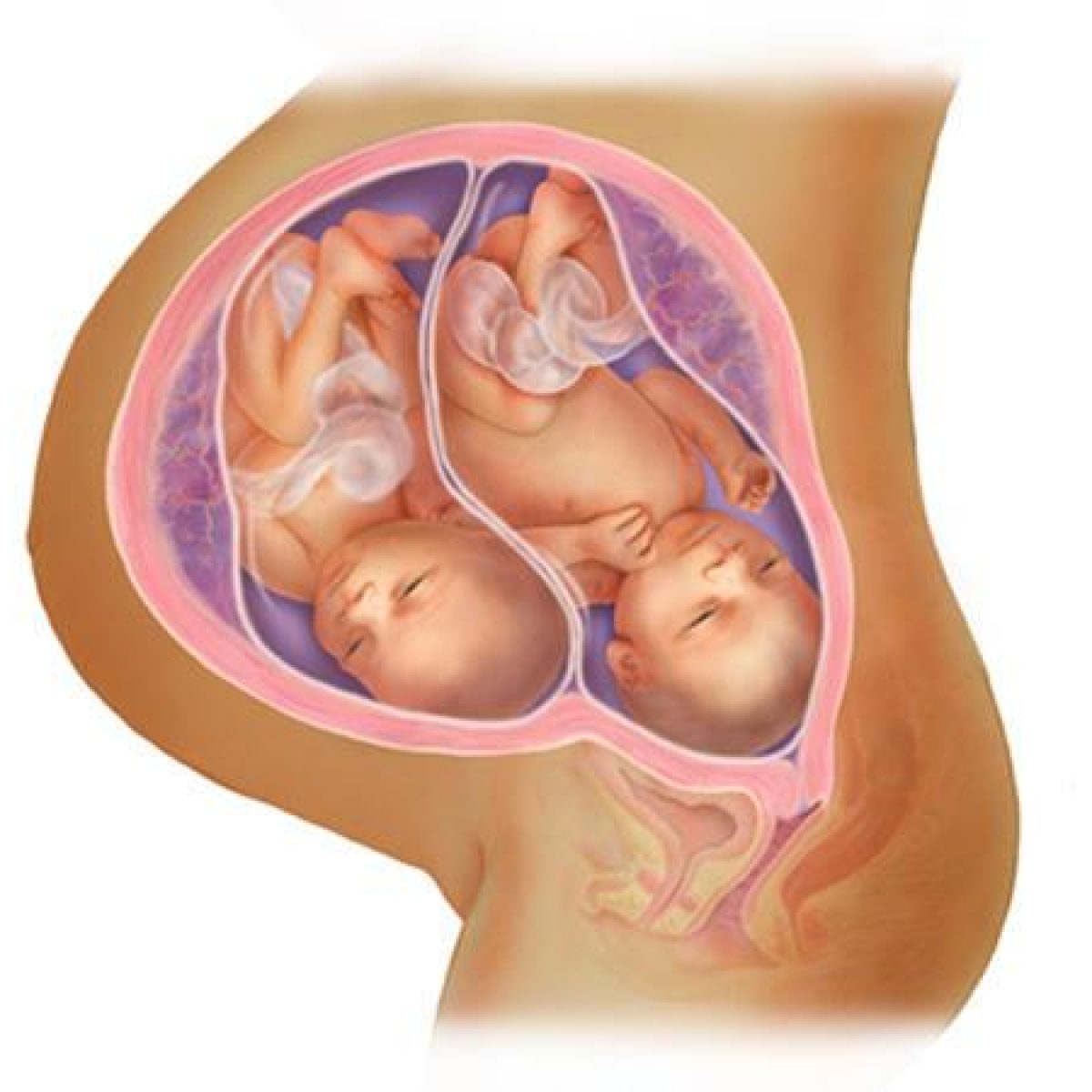Расположение ребенка на 9 месяце беременности