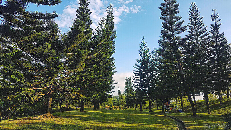 tempat picnic di Putrajaya