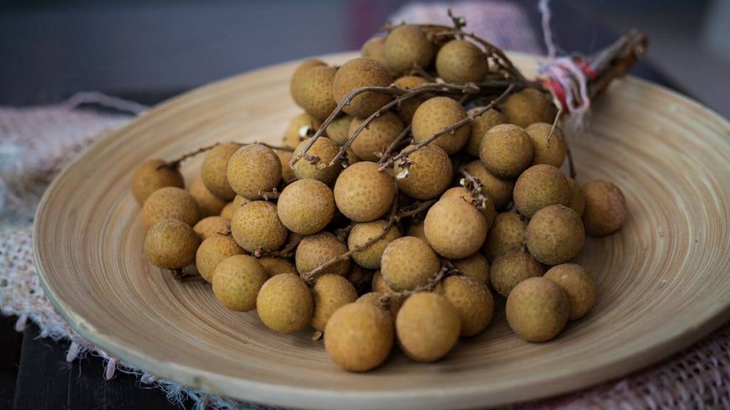 mata kucing vs longan