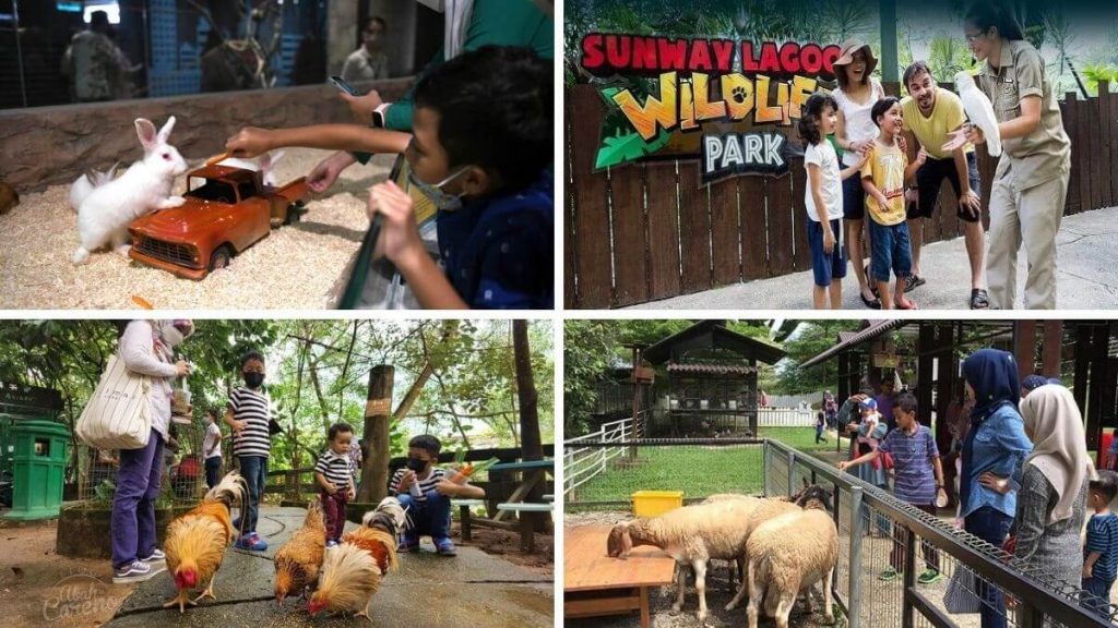 senarai petting zoo di Selangor, Malaysia