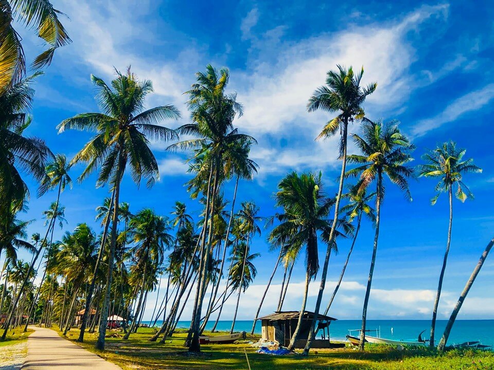 Pantai Jambu Bongok, pantai di Terengganu