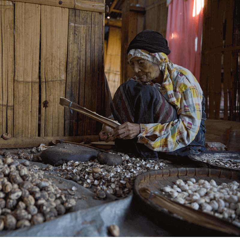 khasiat buah keras