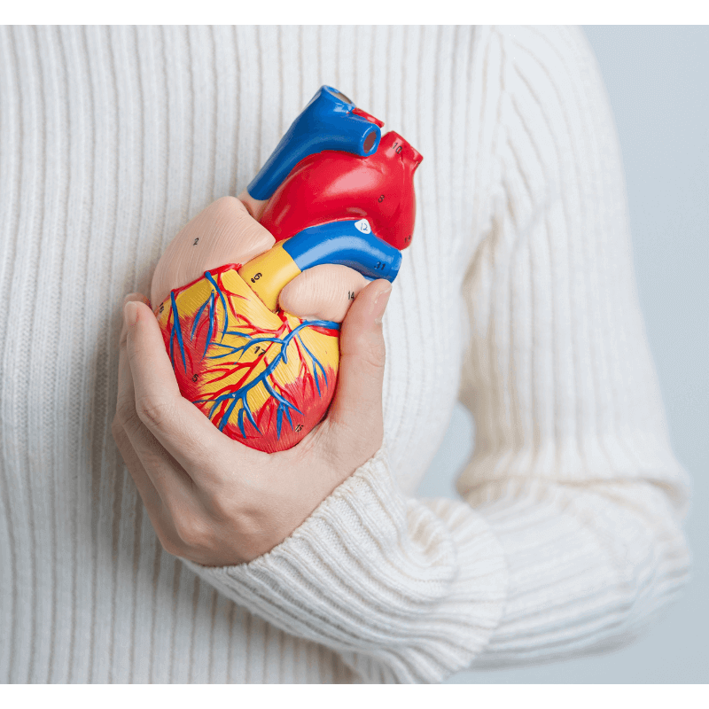 khasiat buah keras pada jantung