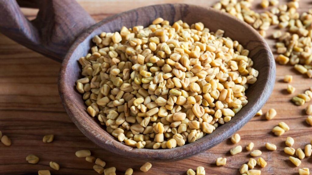 khasiat halba atau fanugreek untuk kesihatan