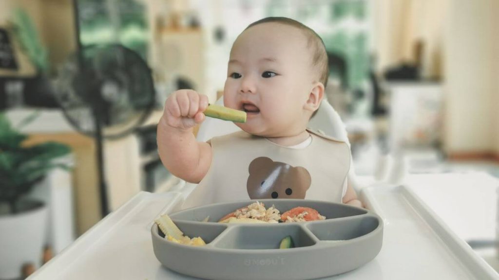 peralatan makanan bayi